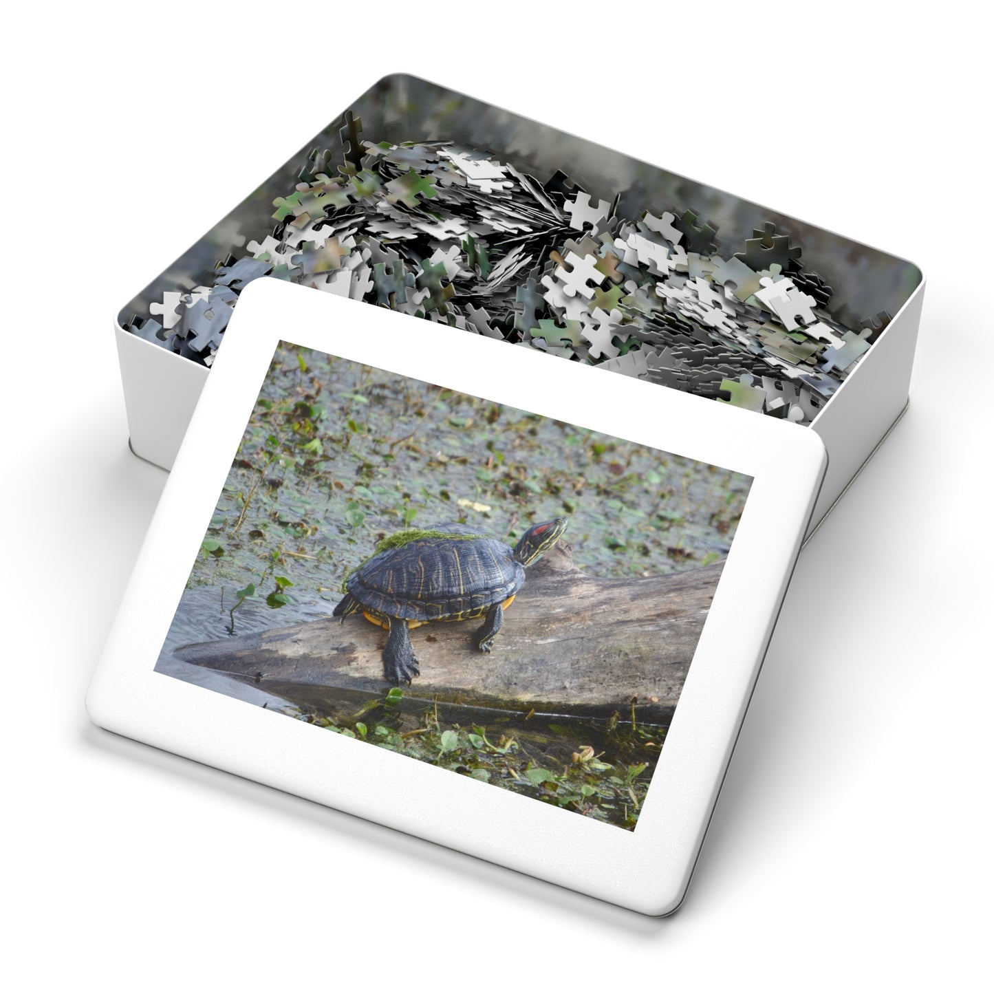 Shell-ebrate Sunbathing!, Jigsaw Puzzle with Tin