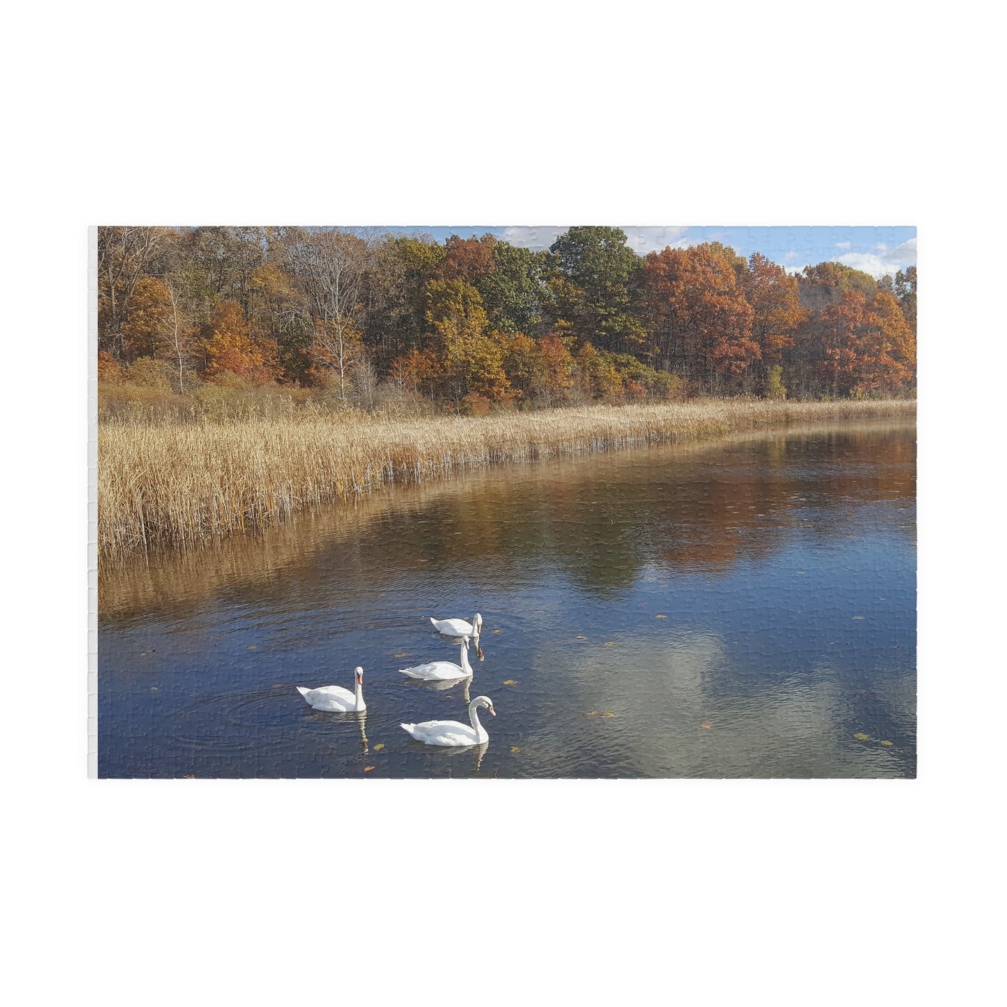 Swan Dive into Puzzling Serenity, Jigsaw Puzzle, Nature Scene, Relaxing Activity, Wildlife Lover Gift