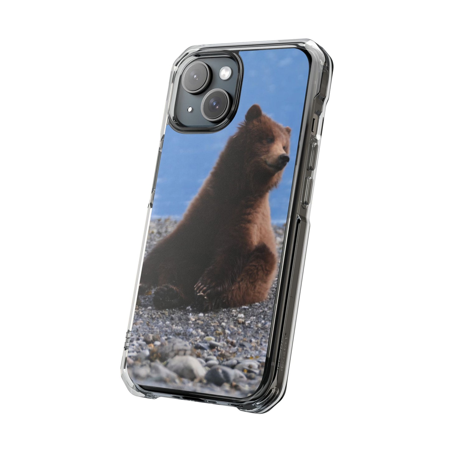 Magnet, Grizzly Bear Cub on Pebble Beach in Alaska, Wildlife Animal Fridge Magnet, Cute Bear Cub Kitchen Decor, Alaska Souvenir, Bear Lover