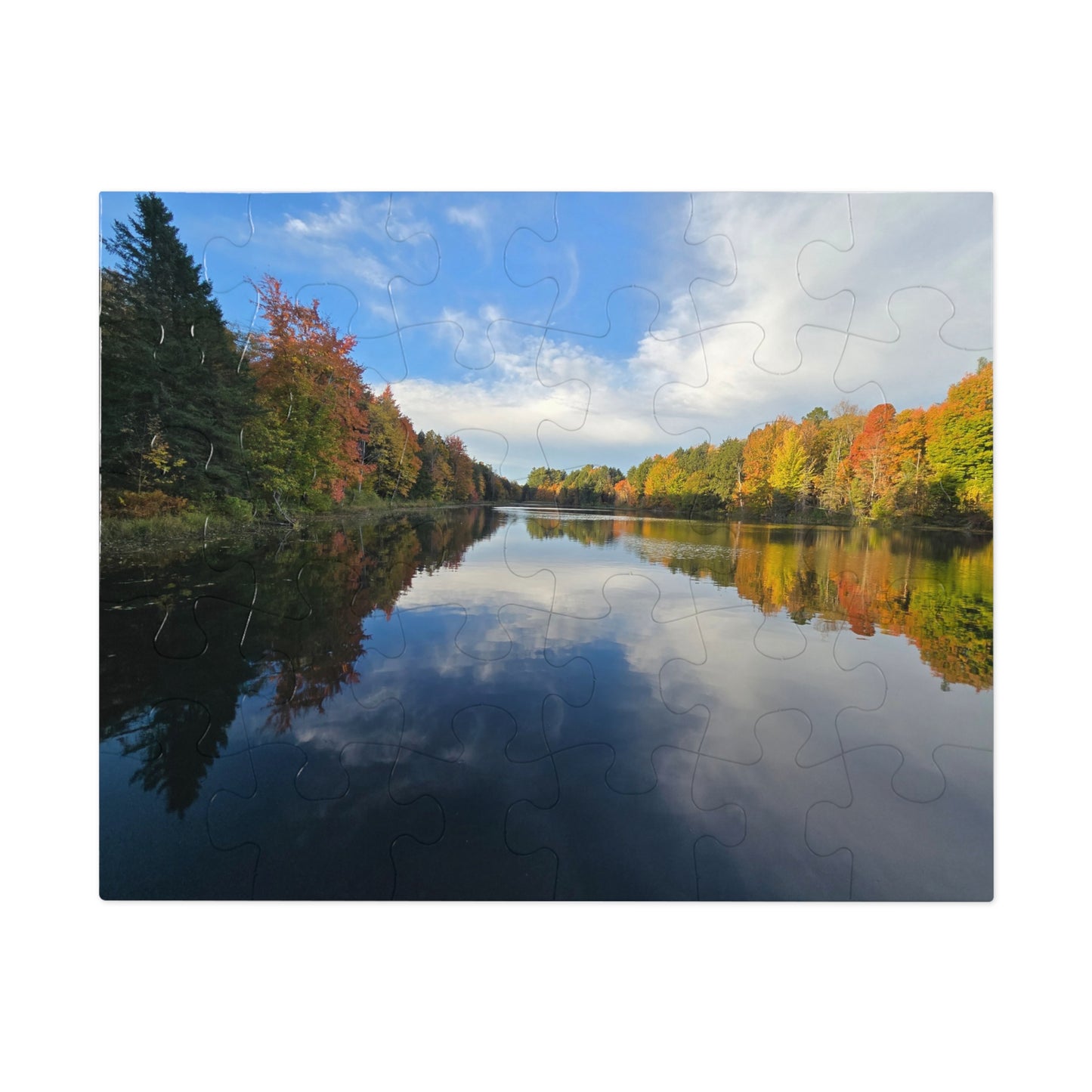 Pond Reflections, Nature Puzzle