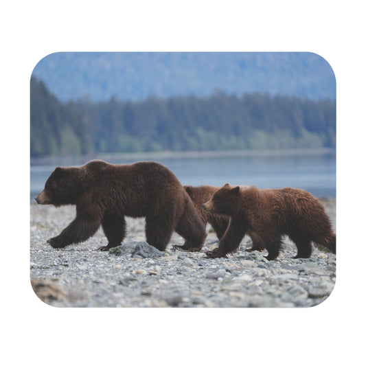 Mama Grizzly Bear and Cubs Mouse Pad (Rectangle)