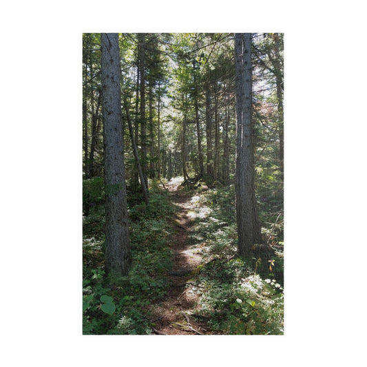 Take a Hike—Without the Mosquitoes, Jigsaw Puzzle