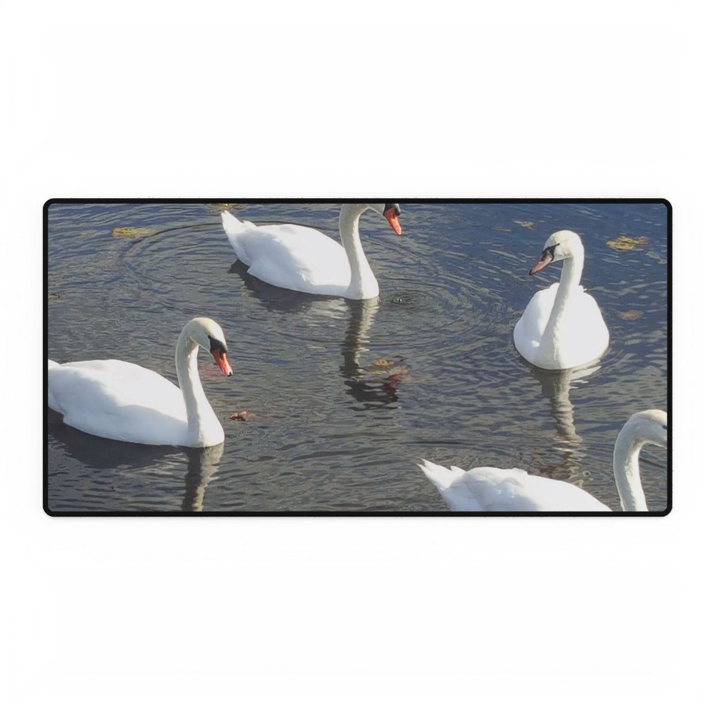 Swanning Around at Work: Because Who Doesn’t Love a Good Float?, Desk Mats, Nature Desk Accessory, Workspace Decor, Office Desk Pad, Desk Blotter, Home Office Gift