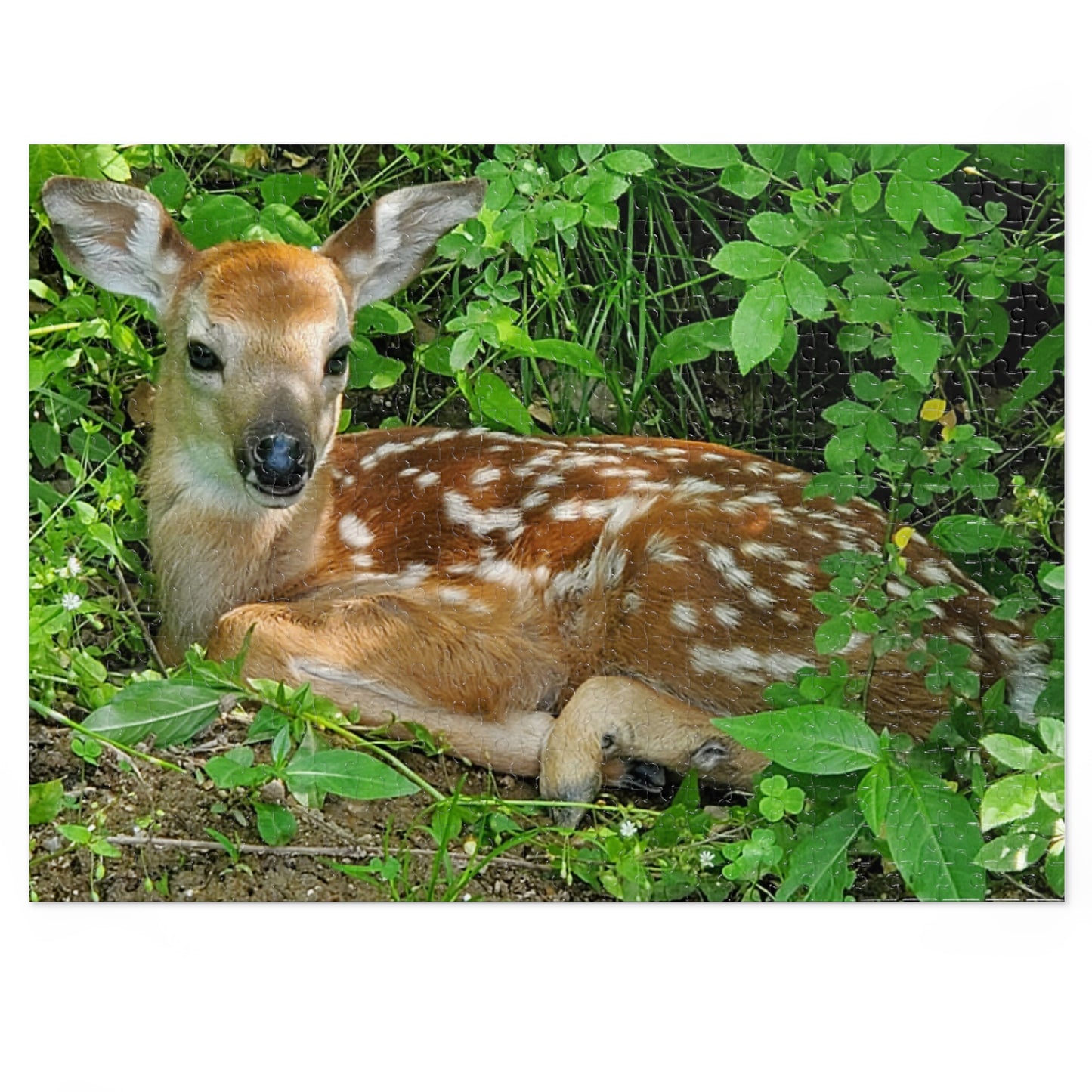 Oh Deer, Another Puzzle!, Jigsaw Puzzle, Fawn Design