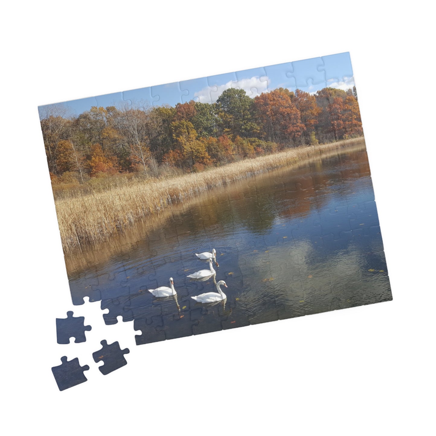 Swan Dive into Puzzling Serenity, Jigsaw Puzzle, Nature Scene, Relaxing Activity, Wildlife Lover Gift