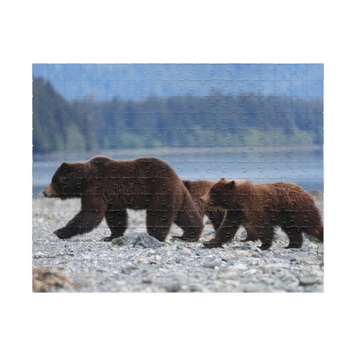 Clamming Up: A Bear-y Fun Puzzle Adventure, Jigsaw Puzzle, Jigsaw Game for Kids and Adults, Wildlife Animal Design, Relaxing Hobby