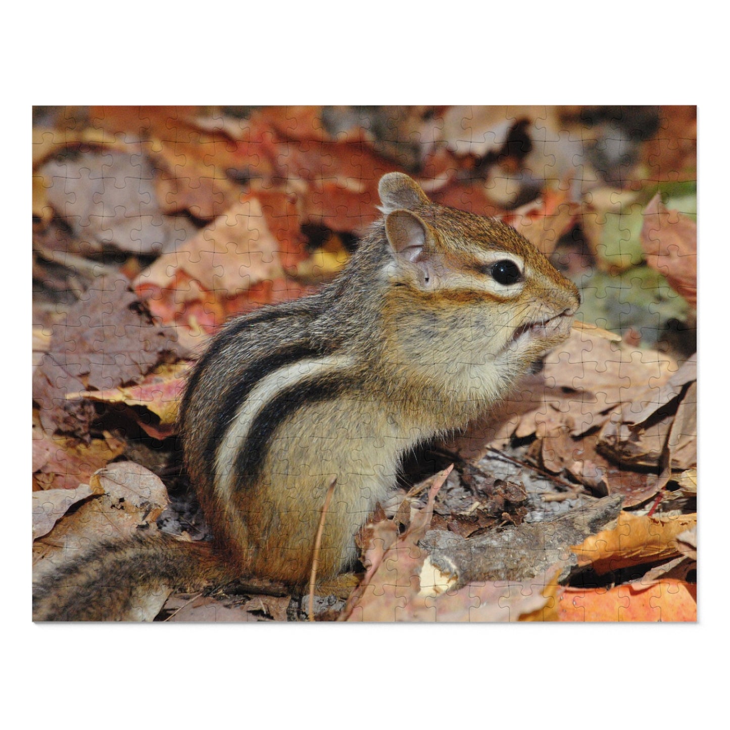 Charming Chipmunk Chaos, Jigsaw Puzzle, Chipmunk Design