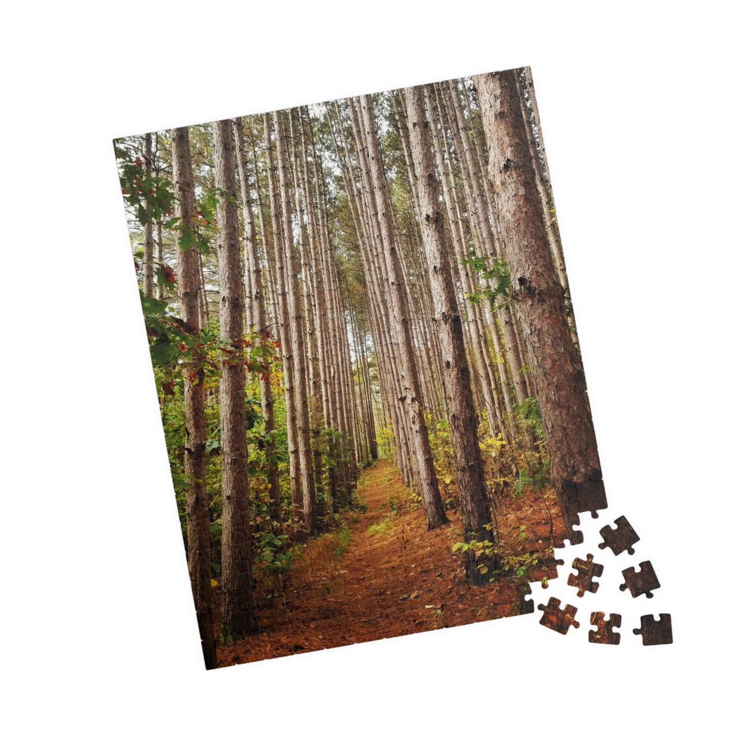 Pine-sational Puzzling: A Walk on the Wild Side, Jigsaw Puzzle, Brain Teaser, Relaxation Activity, Cabin Decor, Holiday Gift