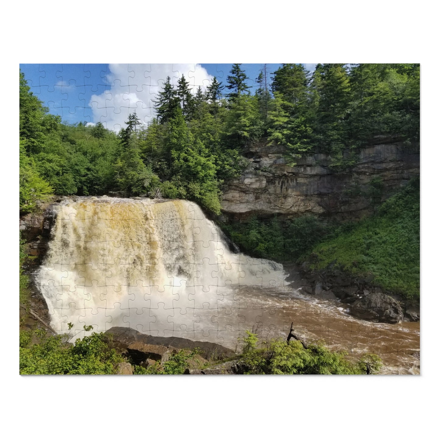 Don't Go Chasing Waterfalls... Piece Them Together, Jigsaw Puzzle, Blackwater Falls