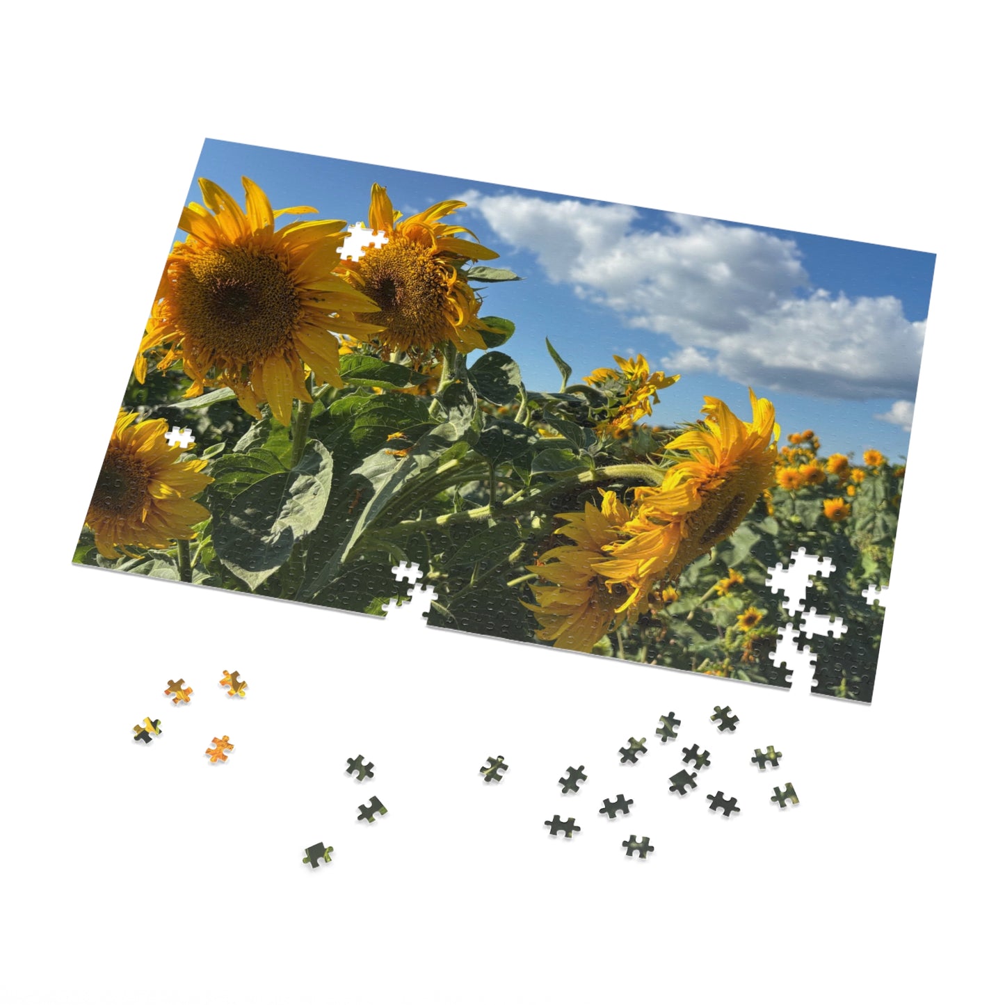 Jigsaw Puzzle: Afternoon Sunflower