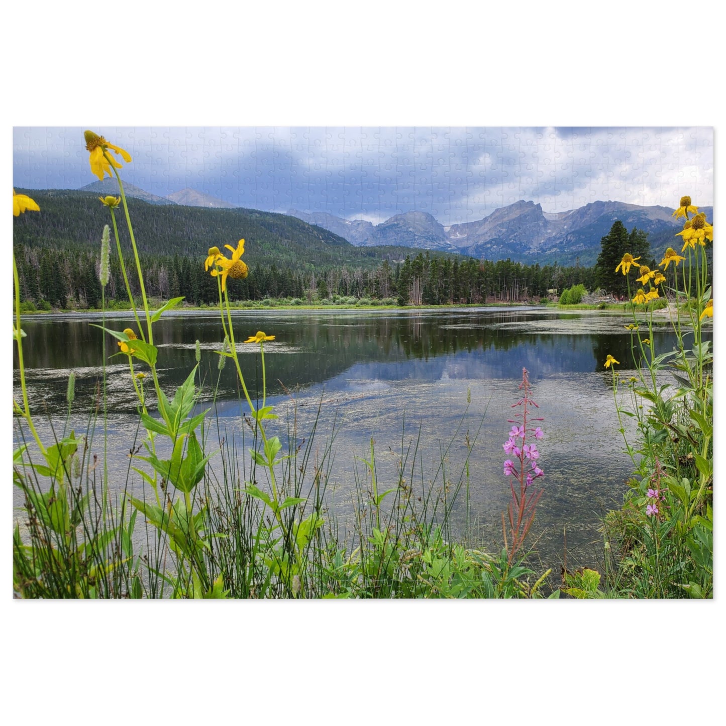 A Walk to Remember, Now in 2,000 Tiny Pieces, Jigsaw Puzzle, Rocky Mountain National Park