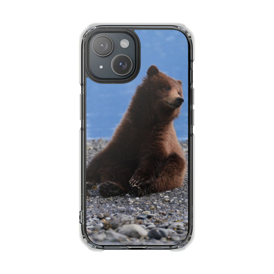 Magnet, Grizzly Bear Cub on Pebble Beach in Alaska, Wildlife Animal Fridge Magnet, Cute Bear Cub Kitchen Decor, Alaska Souvenir, Bear Lover