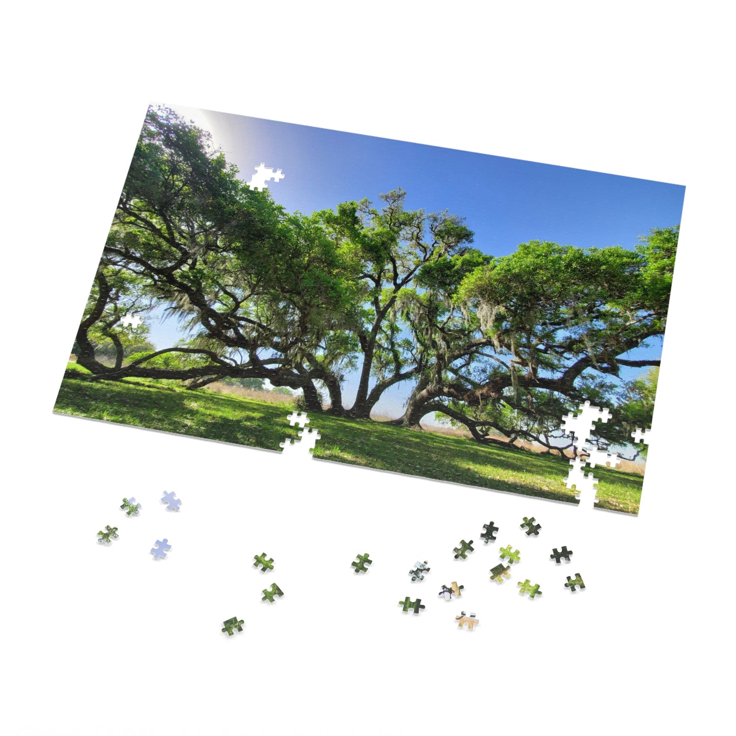 Branch Out with Our Oak Tree Puzzle!, Jigsaw Puzzle with Tin