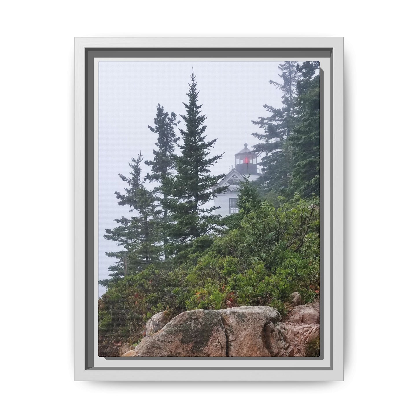 Fog Level: Lighthouse Approved