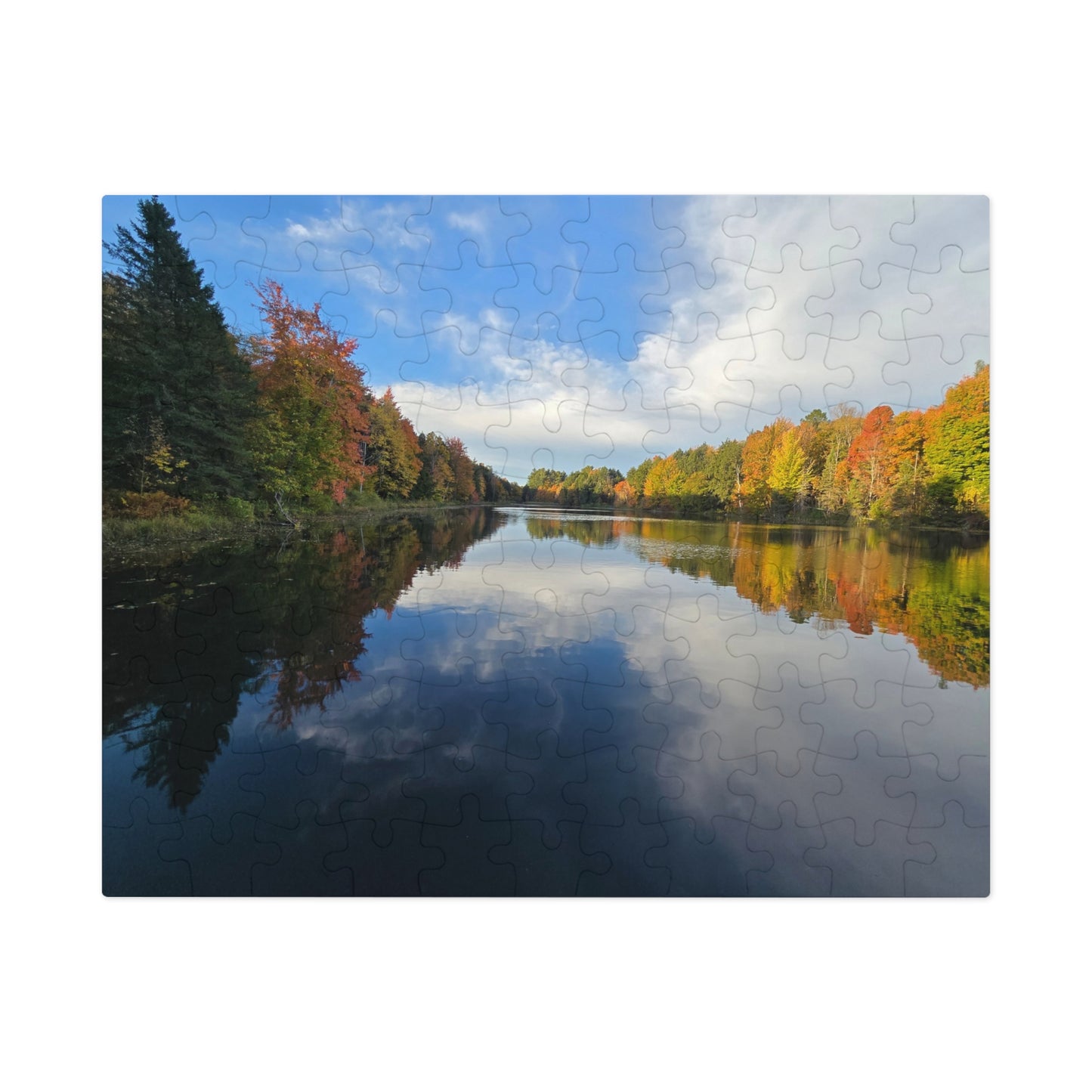 Pond Reflections, Nature Puzzle