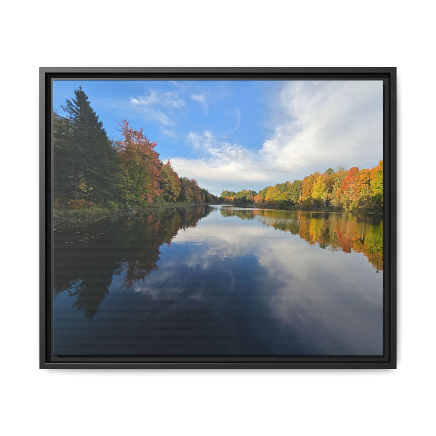 Remington Pond: Nature Showing Off Again