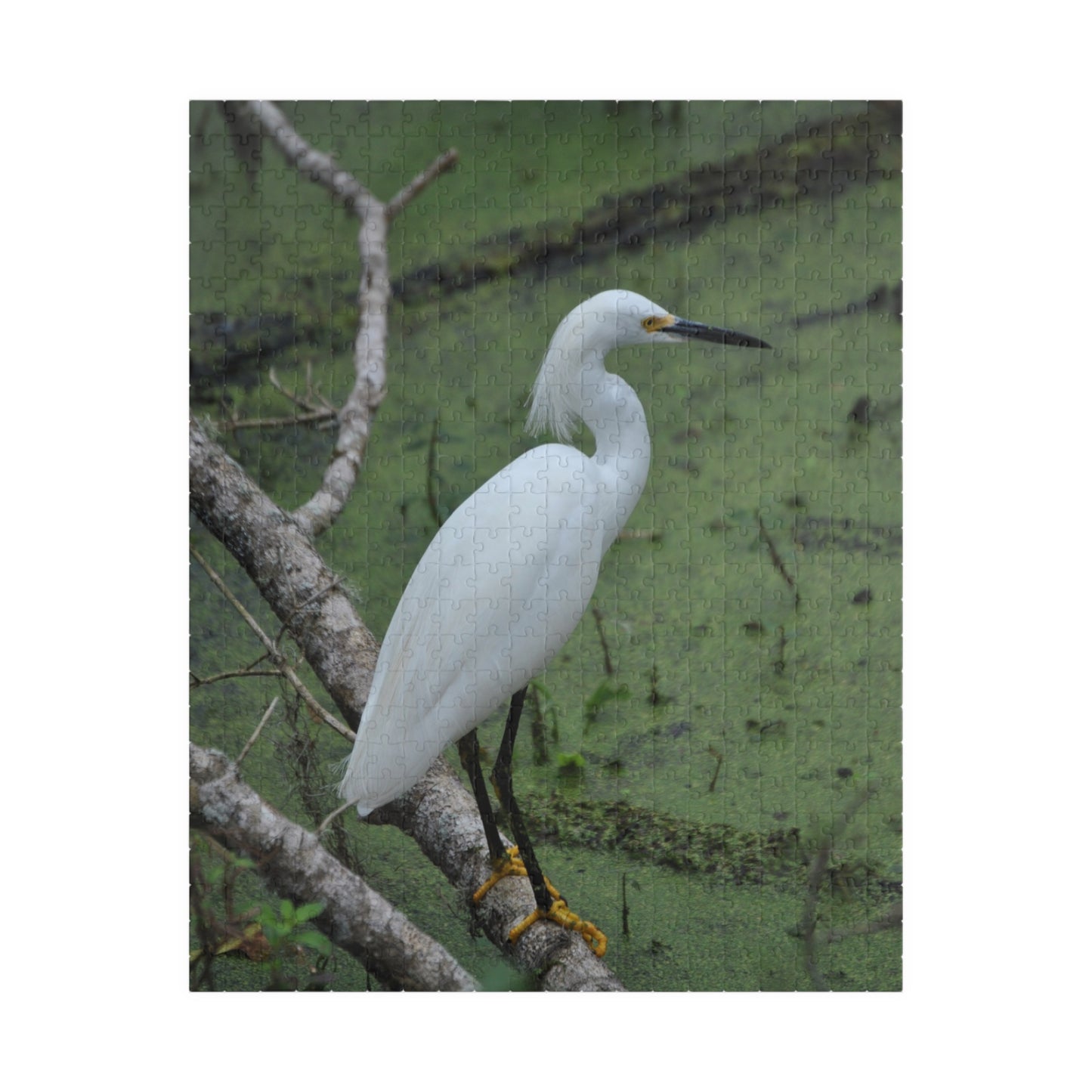 Egret Expectations: A Puzzling Escape into Serenity, Jigsaw Puzzle, Little Egret