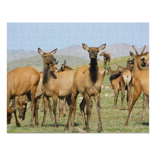 Elk-straordinary Challenge, Jigsaw Puzzle, Rocky Mountain Elk Herd