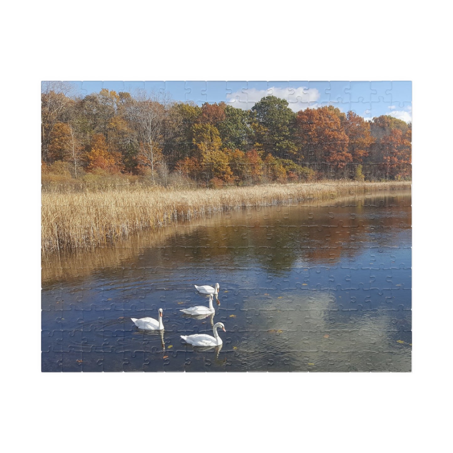 Swan Dive into Puzzling Serenity, Jigsaw Puzzle, Nature Scene, Relaxing Activity, Wildlife Lover Gift