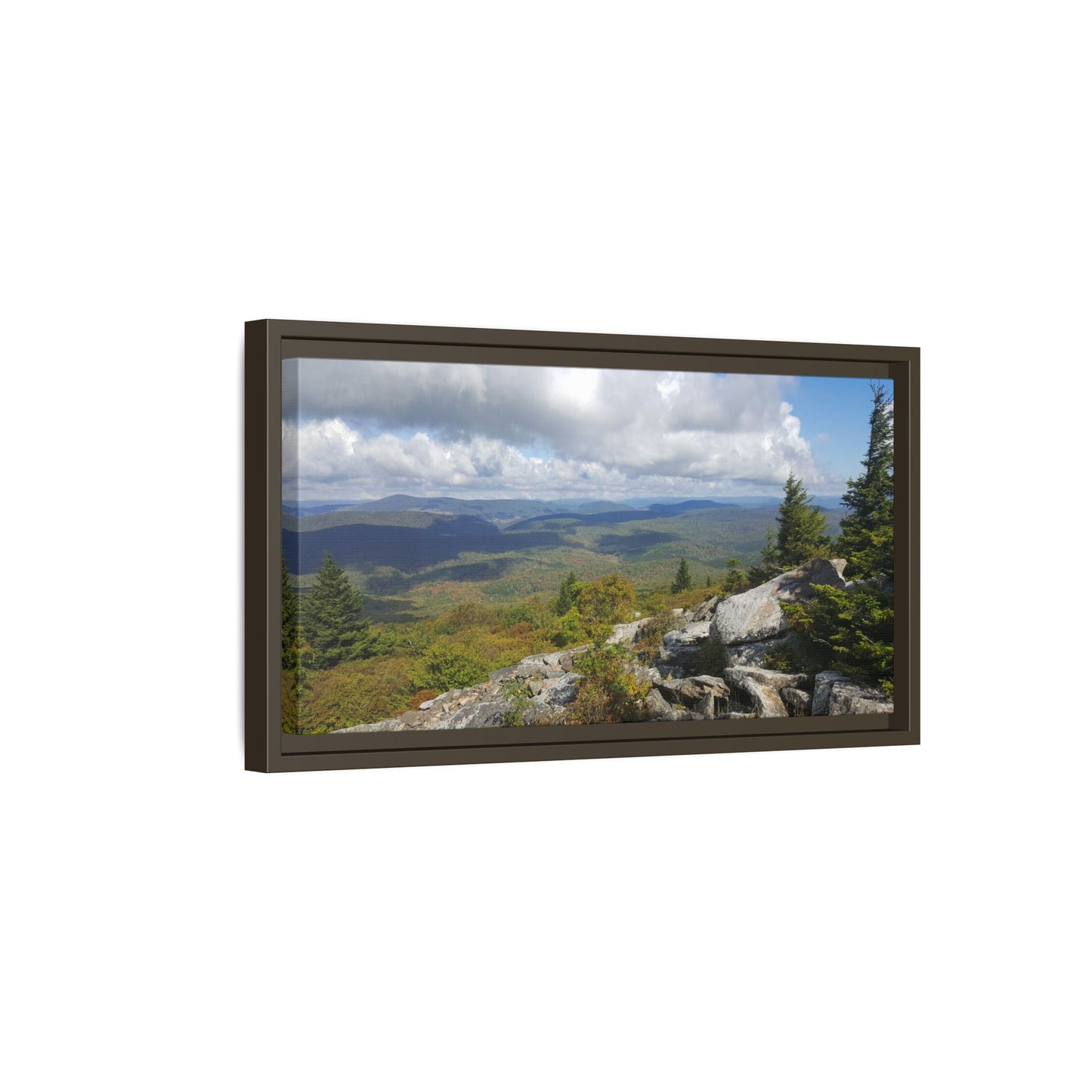Spruce Knob Summit View